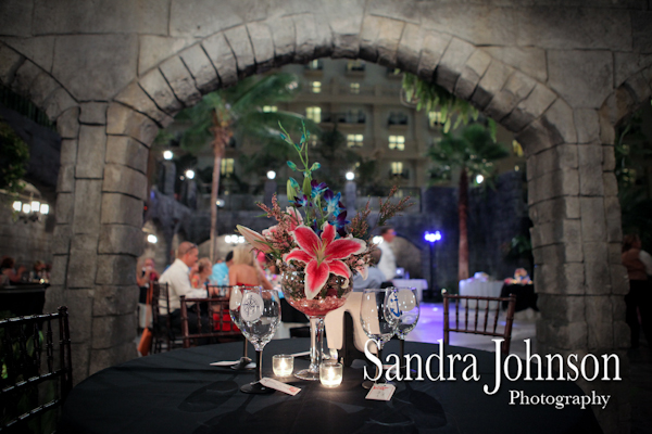 Best Gaylord Palms Wedding photographer - Sandra Johnson (SJFoto.com)